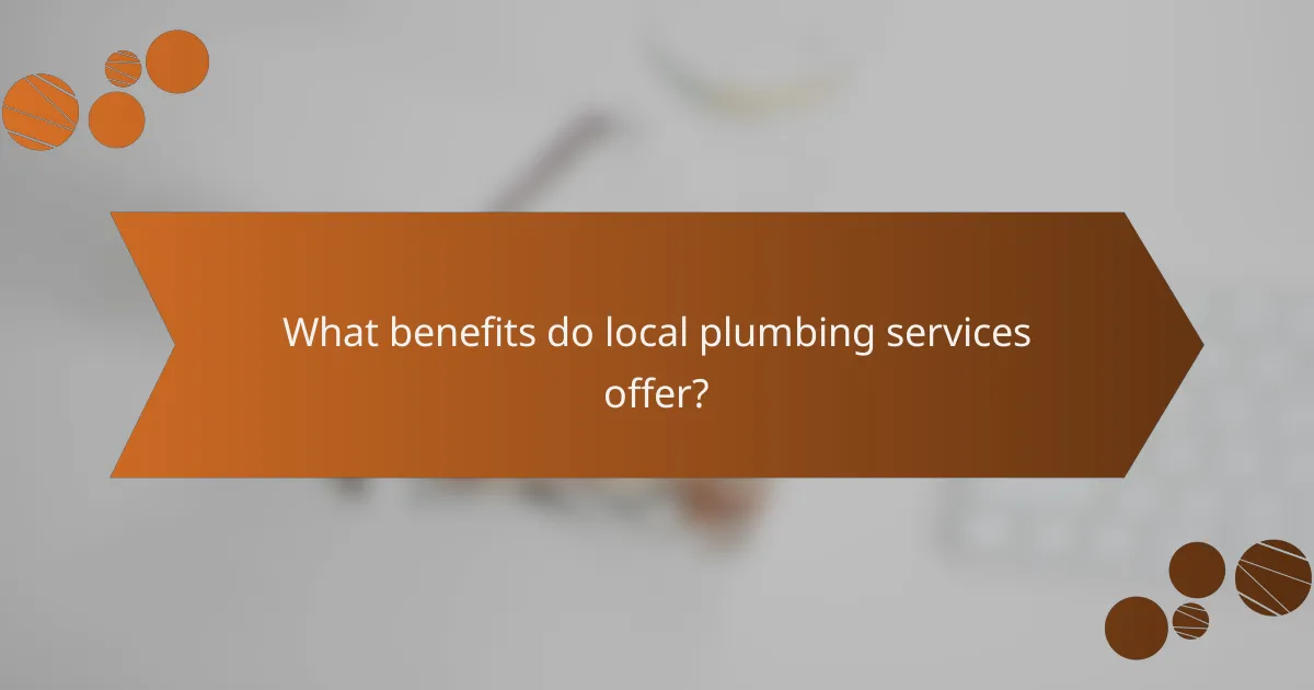 What benefits do local plumbing services offer?